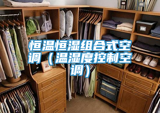 亚洲乱码一区二区三区 恒温恒湿组合式空调（温湿度控制空调）