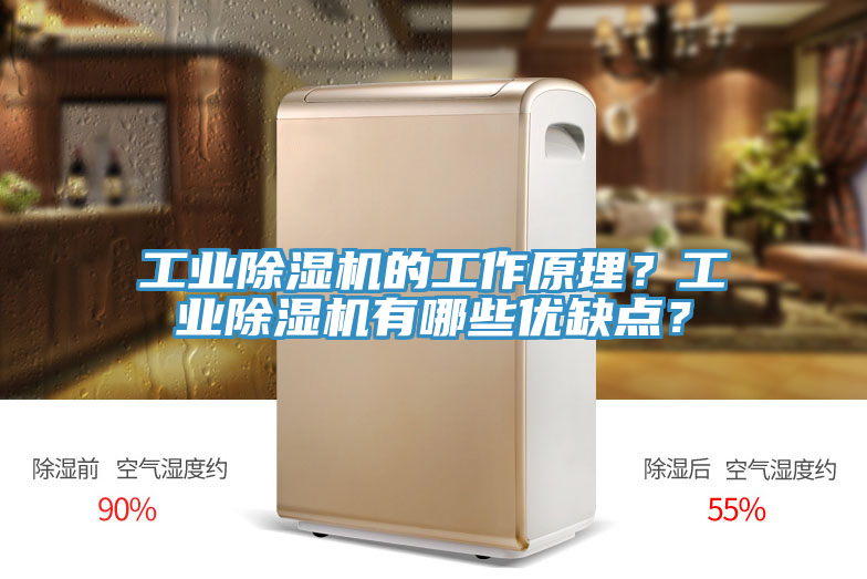 亚洲乱码一区二区三区 工业除湿机的工作原理？工业除湿机有哪些优缺点？