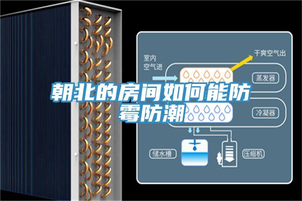 亚洲人成综合第一网站 朝北的房间如何能防霉防潮