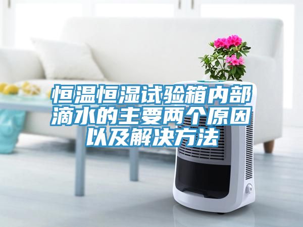 亚洲乱码一区二区三区 恒温恒湿试验箱内部滴水的主要两个原因以及解决方法