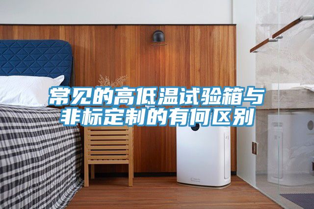 亚洲人成综合第一网站 常见的高低温试验箱与非标定制的有何区别