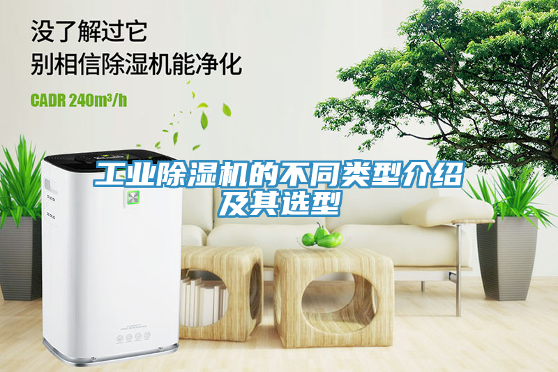 亚洲欧美一级特黄大片 工业除湿机的不同类型介绍及其选型