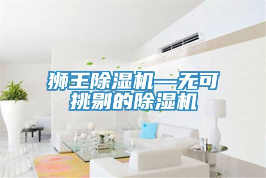 亚洲欧美一级特黄大片 狮王除湿机—无可挑剔的除湿机