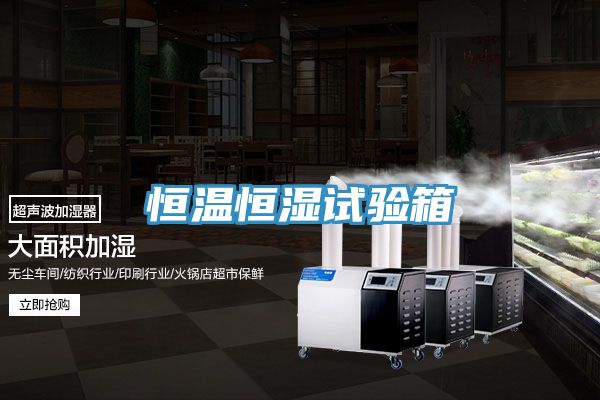亚洲人成综合第一网站 恒温恒湿试验箱