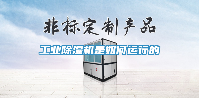 亚洲乱码一区二区三区 工业除湿机是如何运行的