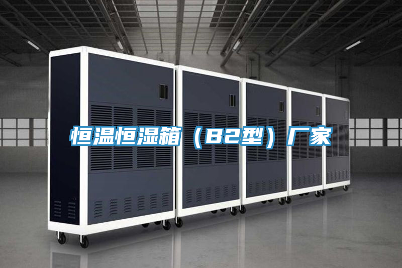 亚洲乱码一区二区三区 恒温恒湿箱（B2型）厂家