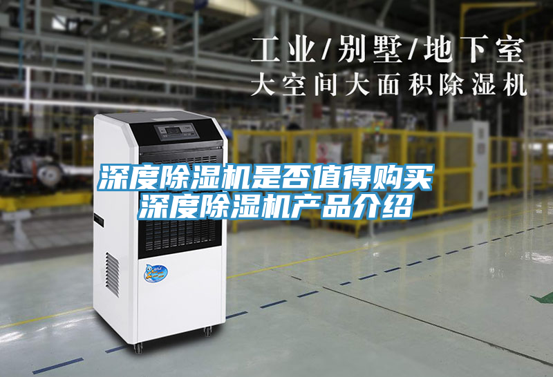 亚洲人成综合第一网站 深度除湿机是否值得购买 深度除湿机产品介绍