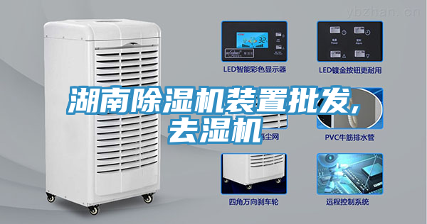 亚洲乱码一区二区三区 湖南除湿机装置批发,去湿机