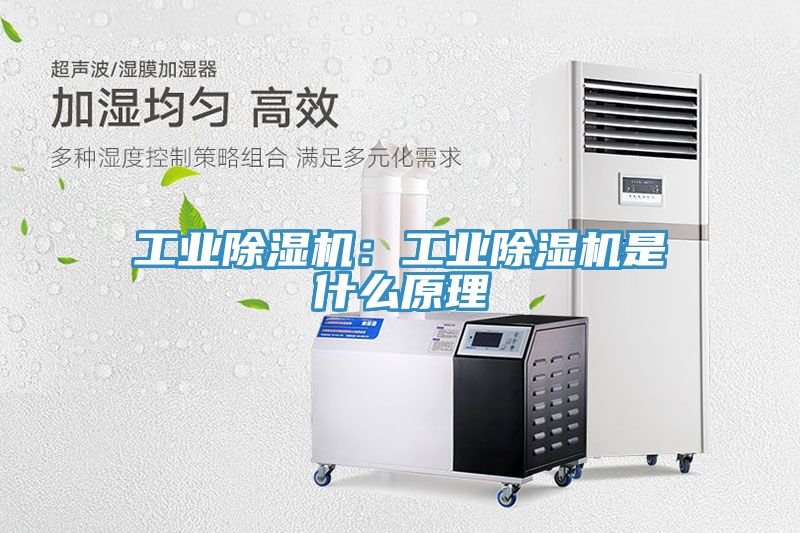 亚洲欧美一级特黄大片 工业除湿机：工业除湿机是什么原理
