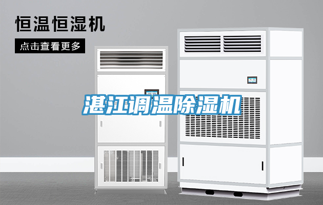 亚洲人成综合第一网站 湛江调温除湿机