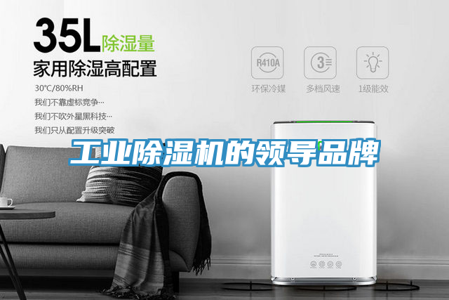 亚洲人成综合第一网站 工业除湿机的领导品牌