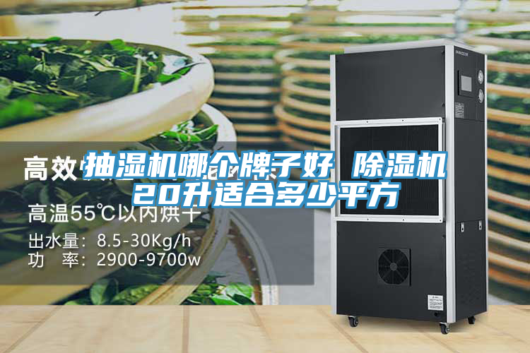 亚洲欧美一级特黄大片 抽湿机哪个牌子好 除湿机20升适合多少平方