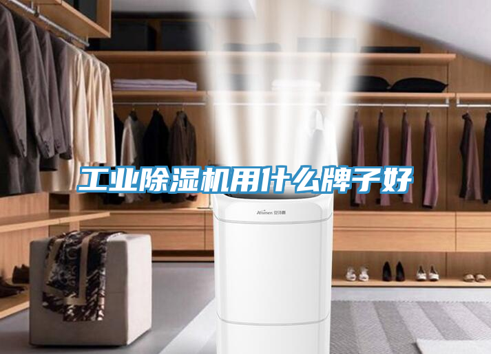 亚洲人成综合第一网站 工业除湿机用什么牌子好