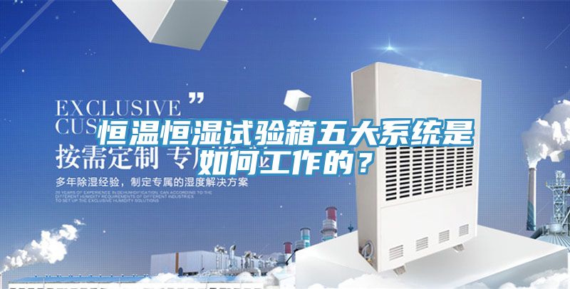 亚洲欧美一级特黄大片 恒温恒湿试验箱五大系统是如何工作的？
