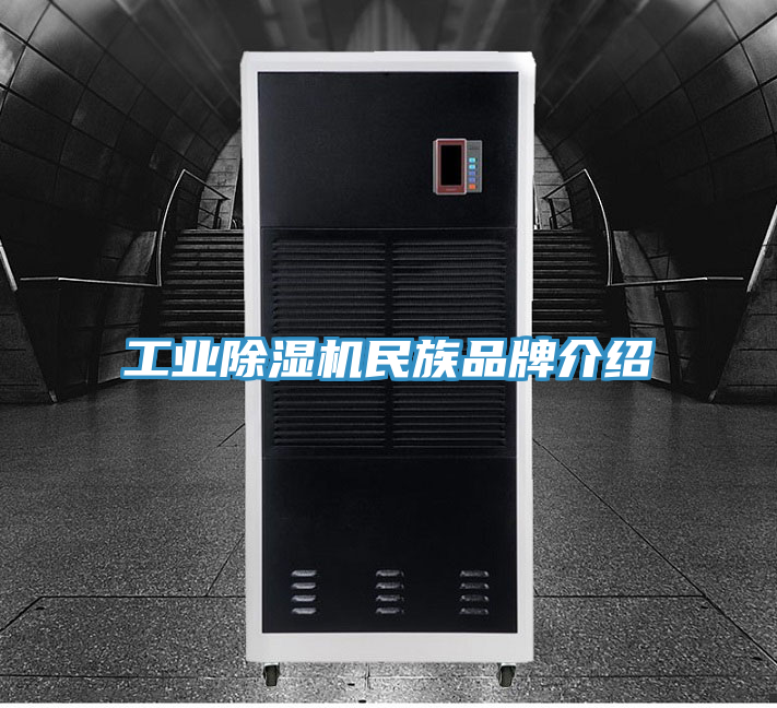 亚洲人成综合第一网站 工业除湿机民族品牌介绍