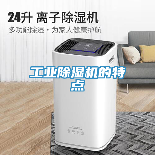 亚洲人成综合第一网站 工业除湿机的特点