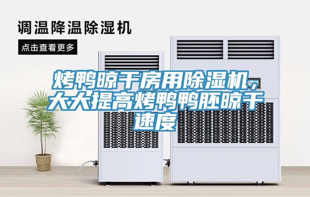 亚洲乱码一区二区三区 烤鸭晾干房用除湿机，大大提高烤鸭鸭胚晾干速度