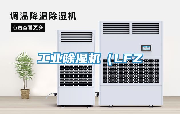 亚洲欧美一级特黄大片 工业除湿机（LFZ