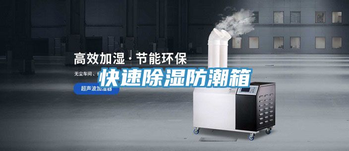 亚洲人成综合第一网站 快速除湿防潮箱