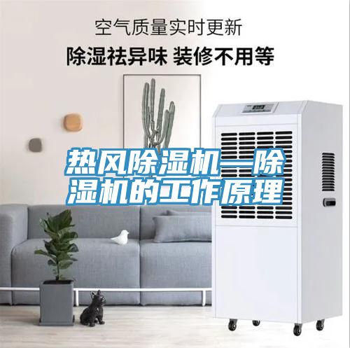 亚洲乱码一区二区三区 热风除湿机—除湿机的工作原理