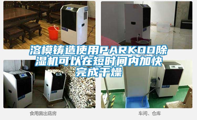 亚洲人成综合第一网站 溶模铸造使用PARKOO除湿机可以在短时间内加快完成干燥