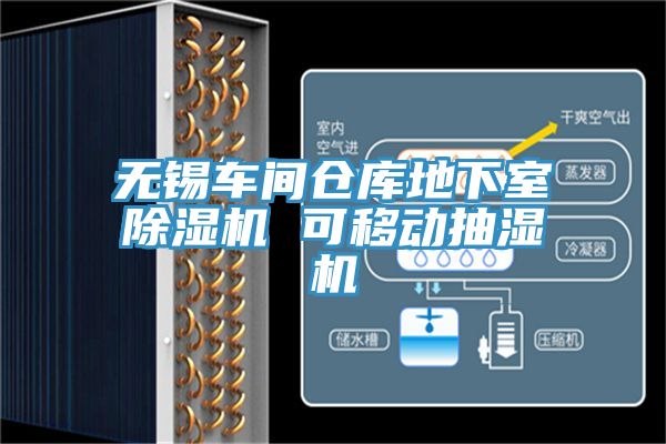 亚洲欧美一级特黄大片 无锡车间仓库地下室除湿机 可移动抽湿机