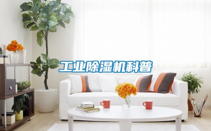 亚洲乱码一区二区三区 工业除湿机科普