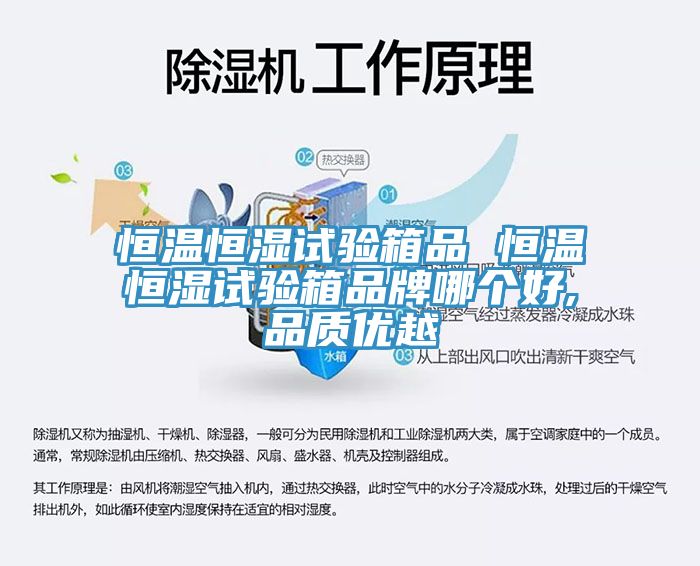 亚洲乱码一区二区三区 恒温恒湿试验箱品 恒温恒湿试验箱品牌哪个好,品质优越