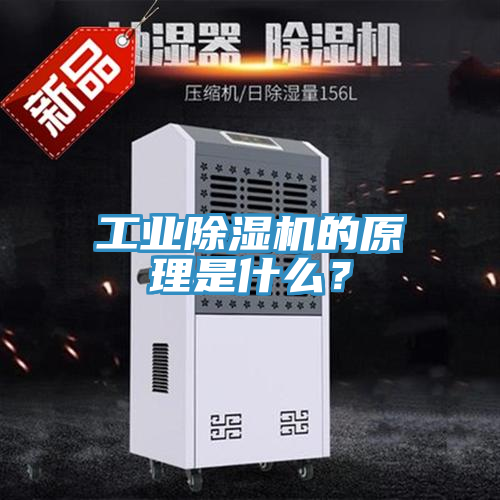 亚洲人成综合第一网站 工业除湿机的原理是什么？