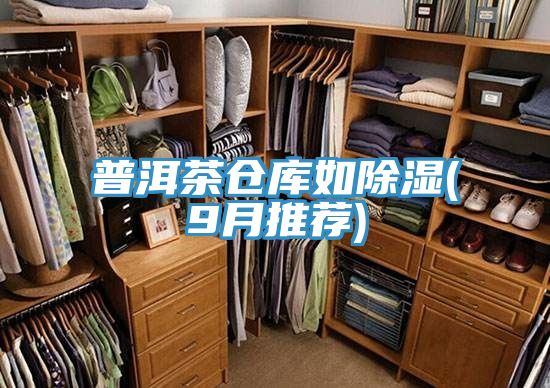 亚洲欧美一级特黄大片 普洱茶仓库如除湿(9月推荐)