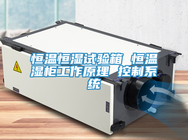 亚洲人成综合第一网站 恒温恒湿试验箱 恒温湿柜工作原理 控制系统