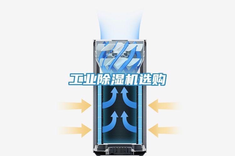 亚洲欧美一级特黄大片 工业除湿机选购