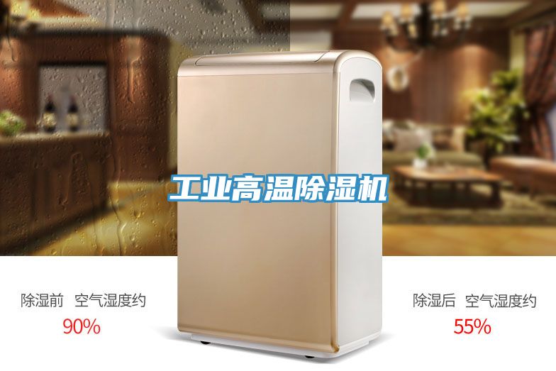 亚洲人成综合第一网站 工业高温除湿机