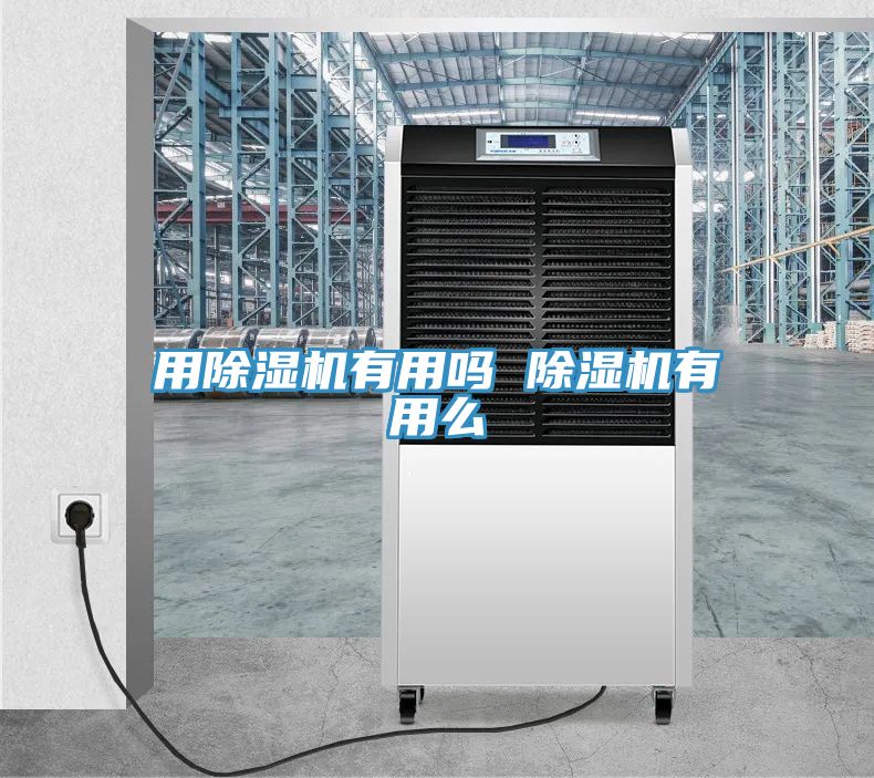 亚洲人成综合第一网站 用除湿机有用吗 除湿机有用么
