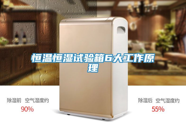 亚洲人成综合第一网站 恒温恒湿试验箱6大工作原理