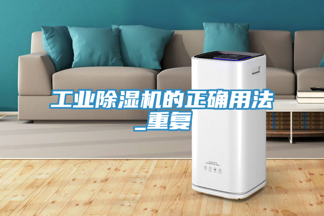 亚洲人成综合第一网站 工业除湿机的正确用法_重复