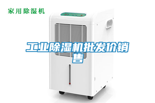 亚洲欧美一级特黄大片 工业除湿机批发价销售