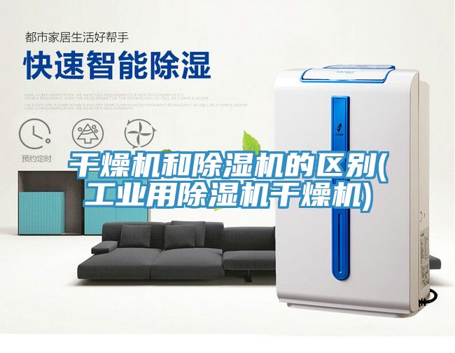 亚洲欧美一级特黄大片 干燥机和除湿机的区别(工业用除湿机干燥机)