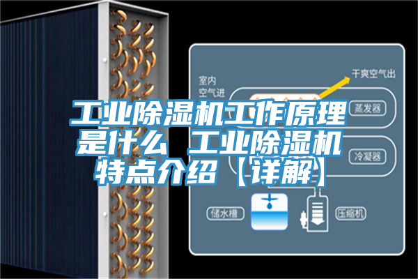 亚洲人成综合第一网站 工业除湿机工作原理是什么 工业除湿机特点介绍【详解】