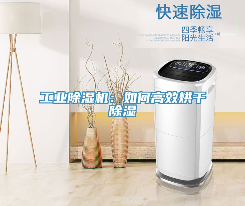 亚洲乱码一区二区三区 工业除湿机：如何高效烘干除湿