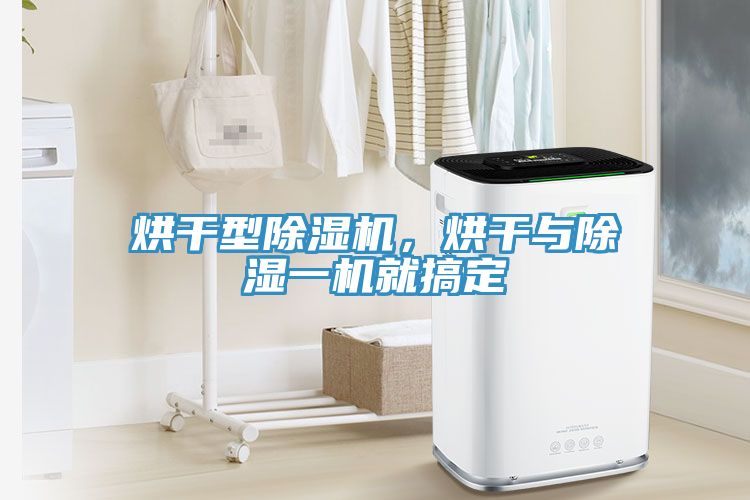 亚洲人成综合第一网站 烘干型除湿机，烘干与除湿一机就搞定