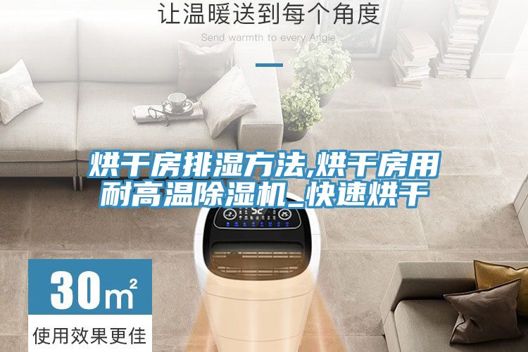 亚洲人成综合第一网站 烘干房排湿方法,烘干房用耐高温除湿机_快速烘干