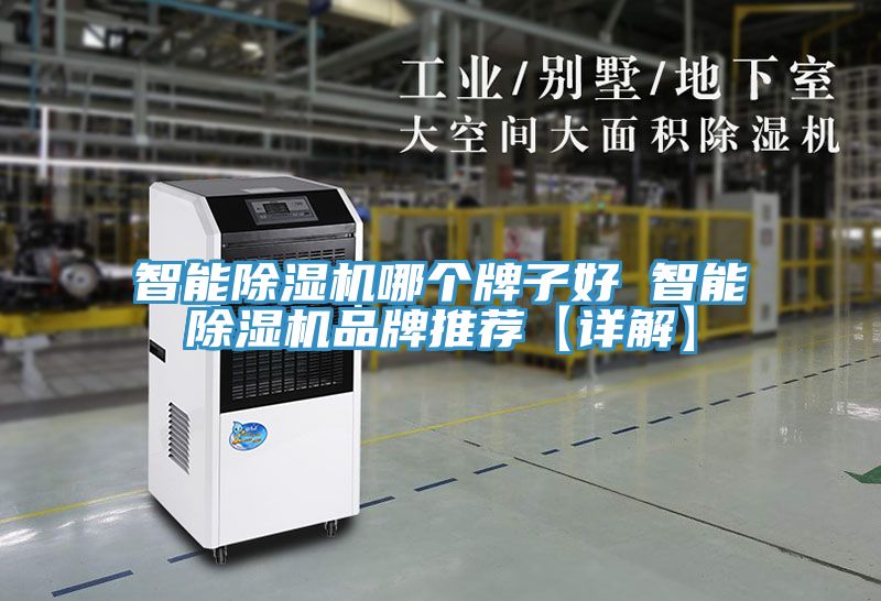 亚洲人成综合第一网站 智能除湿机哪个牌子好 智能除湿机品牌推荐【详解】