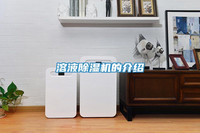 亚洲乱码一区二区三区 溶液除湿机的介绍