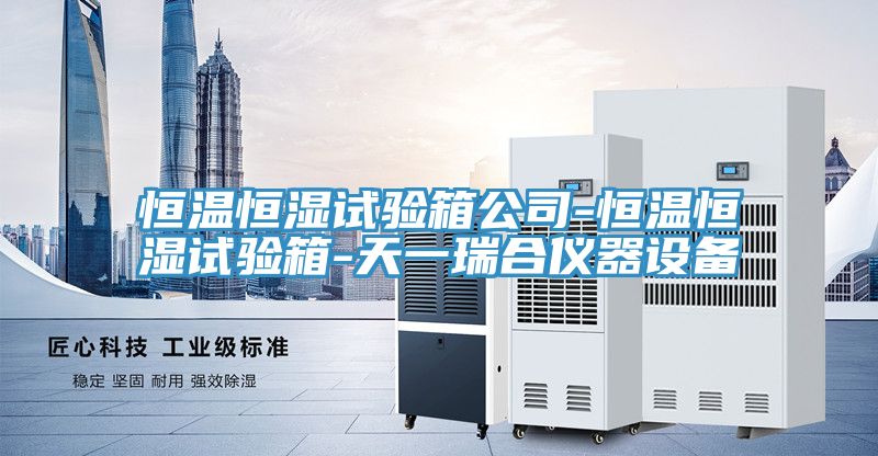 亚洲乱码一区二区三区 恒温恒湿试验箱公司-恒温恒湿试验箱-天一瑞合仪器设备