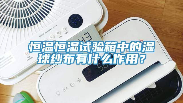 亚洲欧美一级特黄大片 恒温恒湿试验箱中的湿球纱布有什么作用？