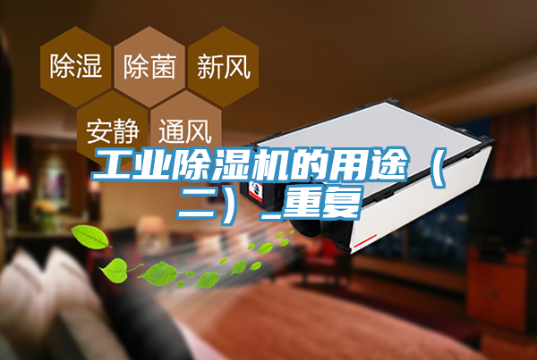 亚洲欧美一级特黄大片 工业除湿机的用途（二）_重复