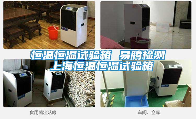 亚洲欧美一级特黄大片 恒温恒湿试验箱 易腾检测 上海恒温恒湿试验箱