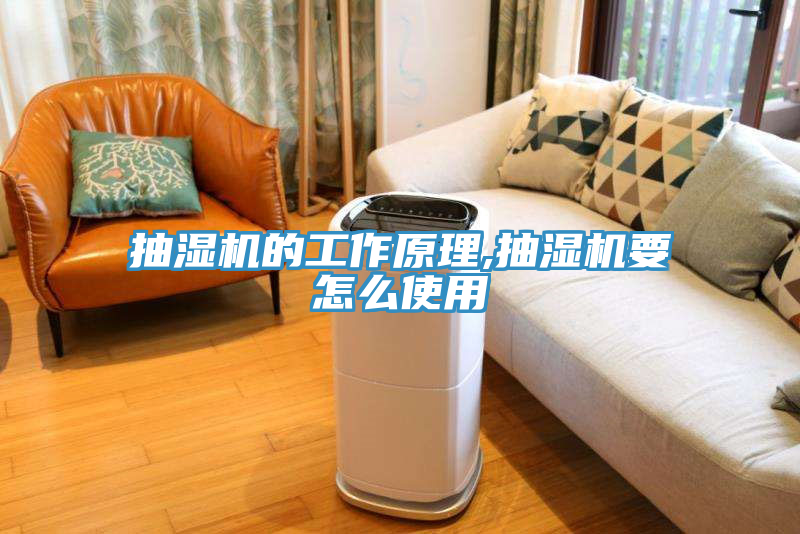 亚洲欧美一级特黄大片 抽湿机的工作原理,抽湿机要怎么使用