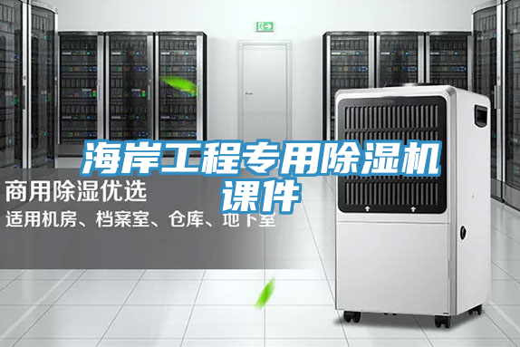 亚洲人成综合第一网站 海岸工程专用除湿机课件